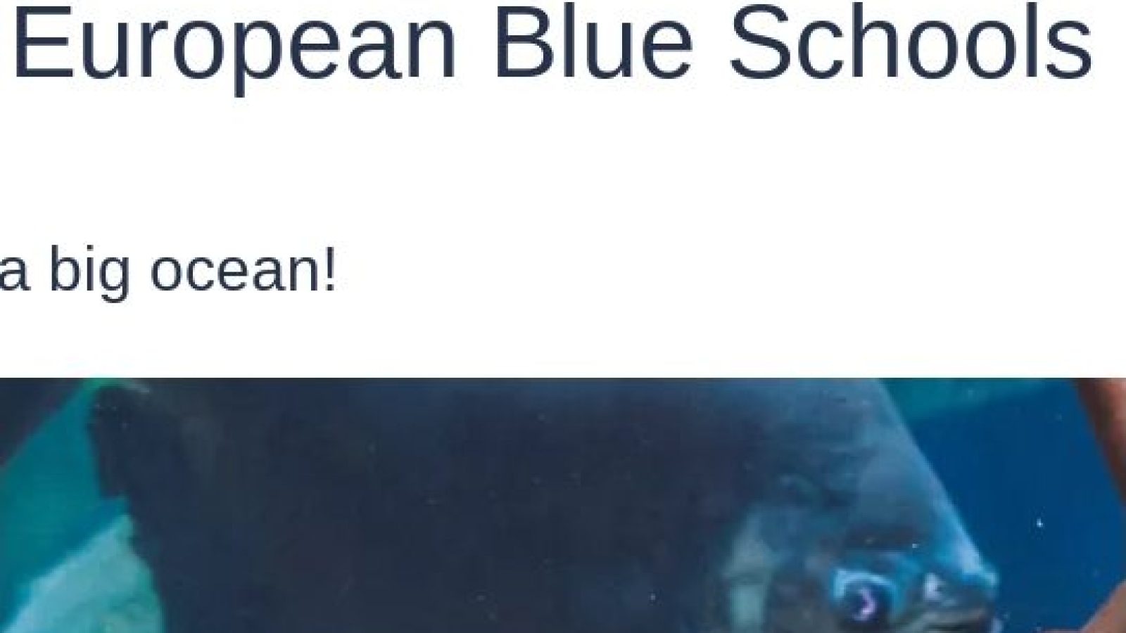 Eurpean blue scholos