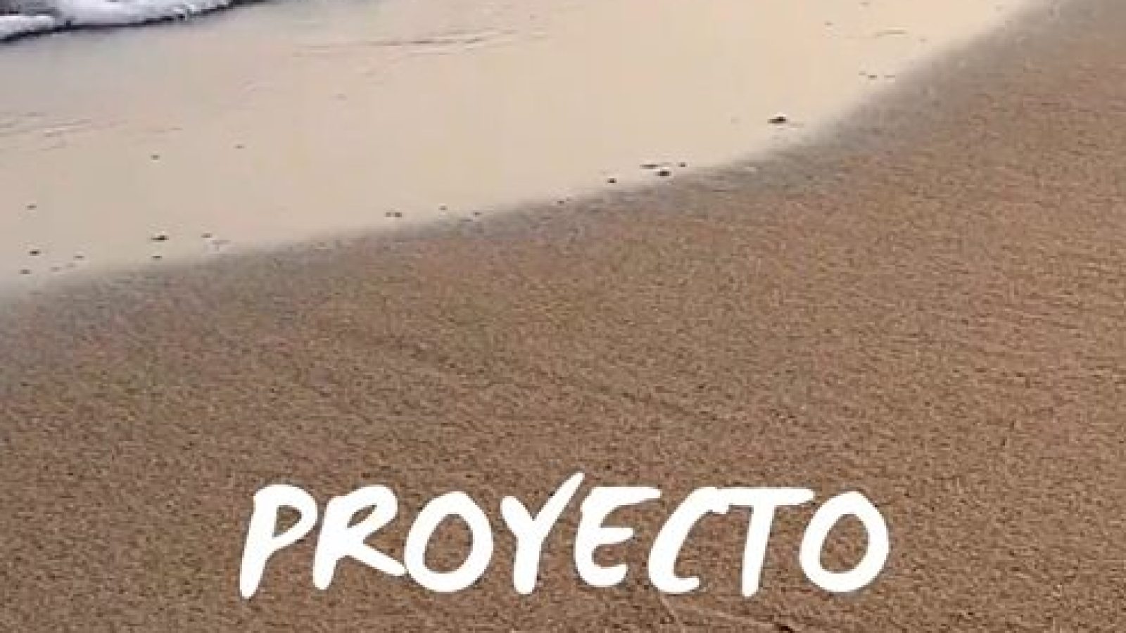 Proyecto Dibertibu